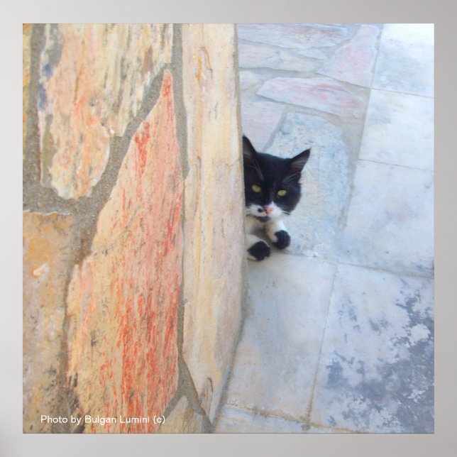 DETECTIVE CAT BEHIND THE STONE WALL / Father's Day Poster (Front)