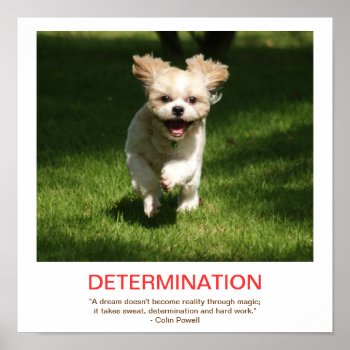 Determination Demotivational Poster by sallybeam at Zazzle