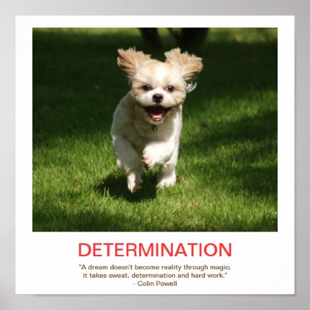 Determination Demotivational Poster