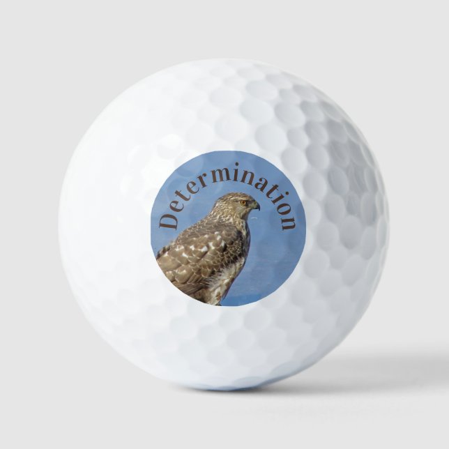 Determination Serious Hawk Photo Wild Raptor Bird  Golf Balls (Front)