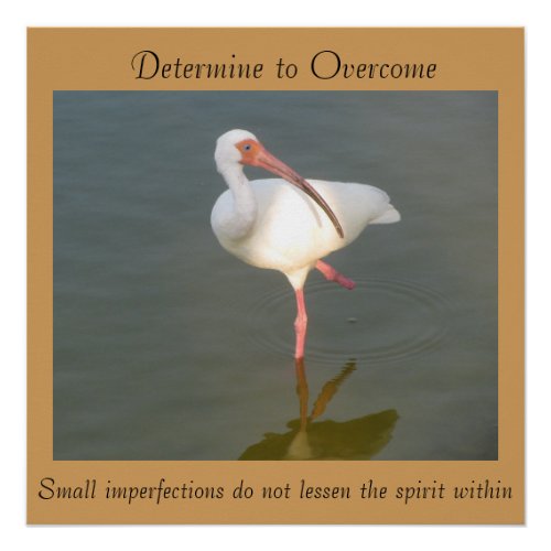 Determine To Overcome _ 20x 20 Poster