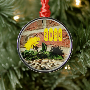 Determined Dandelion, Dandelion in Sidewalk Metal Ornament