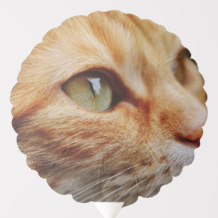 Determined Face of a Ginger Cat Balloon