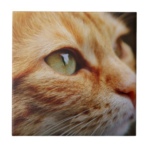 Determined Face of a Ginger Cat Ceramic Tile