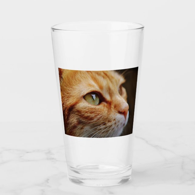 Determined Face of a Ginger Cat Glass (Front)