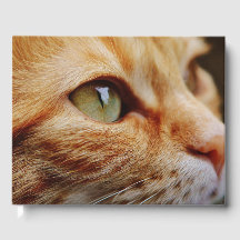 Determined Face of a Ginger Cat