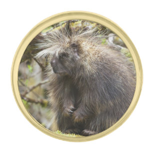 Determined Porcupine Gold Finish Lapel Pin