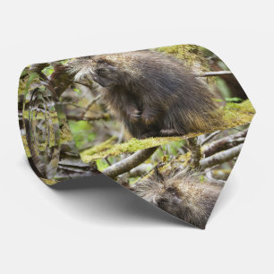 Determined Porcupine Neck Tie