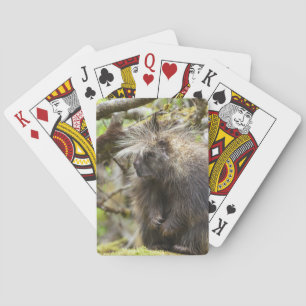 Determined Porcupine Poker Cards
