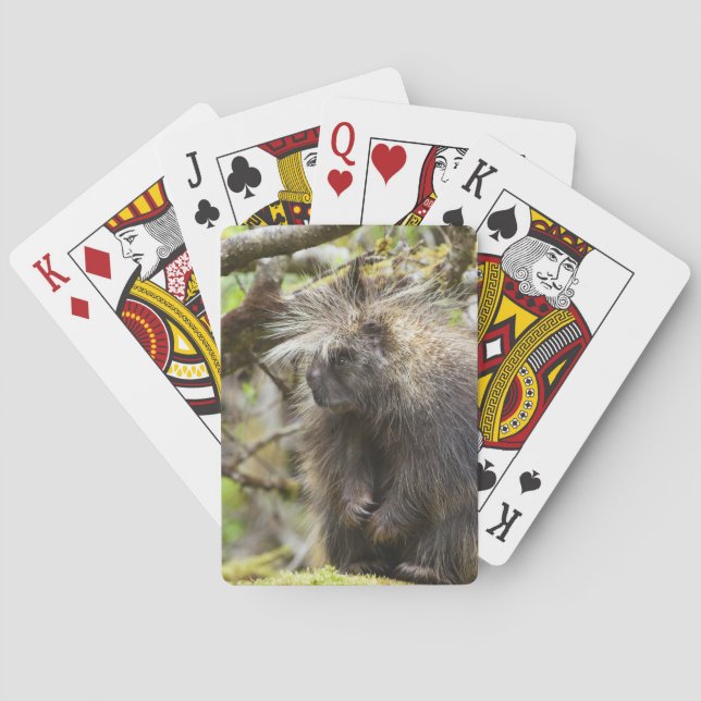 Determined Porcupine Poker Cards (Back)