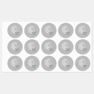 Detriot Lions Stickers