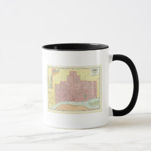 Detroit and Vicinity Mug