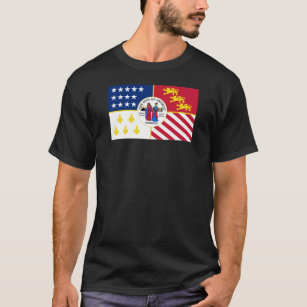 Detroit city flag T-Shirt