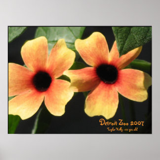 Detroit Zoo Poster