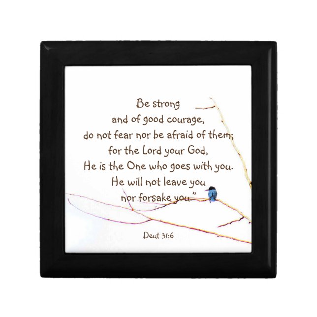 Deut 31:6 You are Not Alone Bible Kingfisher Bird  Gift Box (Front)