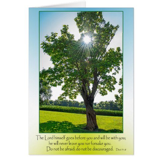 Deut 31 cards (Front)