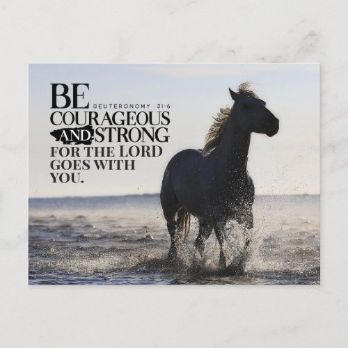Deuteronomy 316 Be Courageous and Strong Horse  Postcard