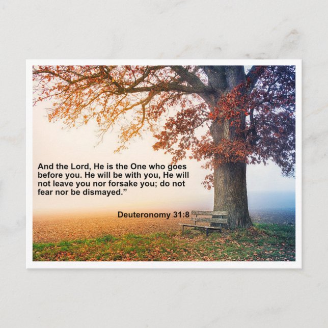 Deuteronomy 31:8 - You are NEVER alone Postcard (Front)