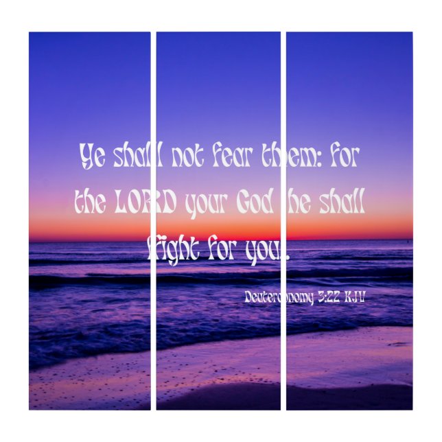 Deuteronomy 3:22 KJV Bible Verse Pic Wall Art (Front)