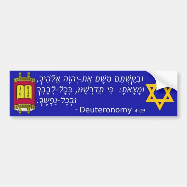 Deuteronomy 4:29 Jewish Torah Bumper Sticker (Front)