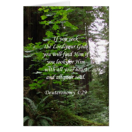 Deuteronomy 4:29 ~ Seek the Lord Cards (Front)