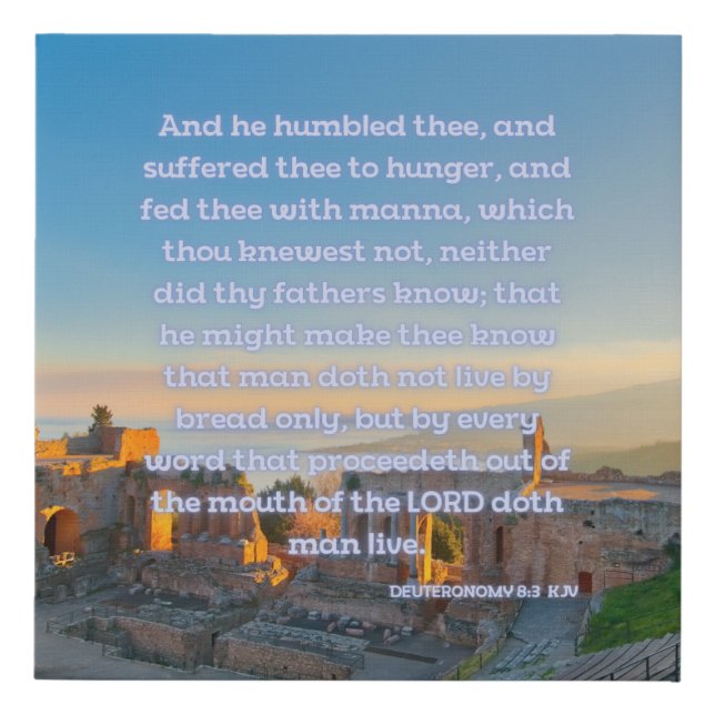 Deuteronomy 8:3 Bible Verse KJV Pic Wall Art (Front)