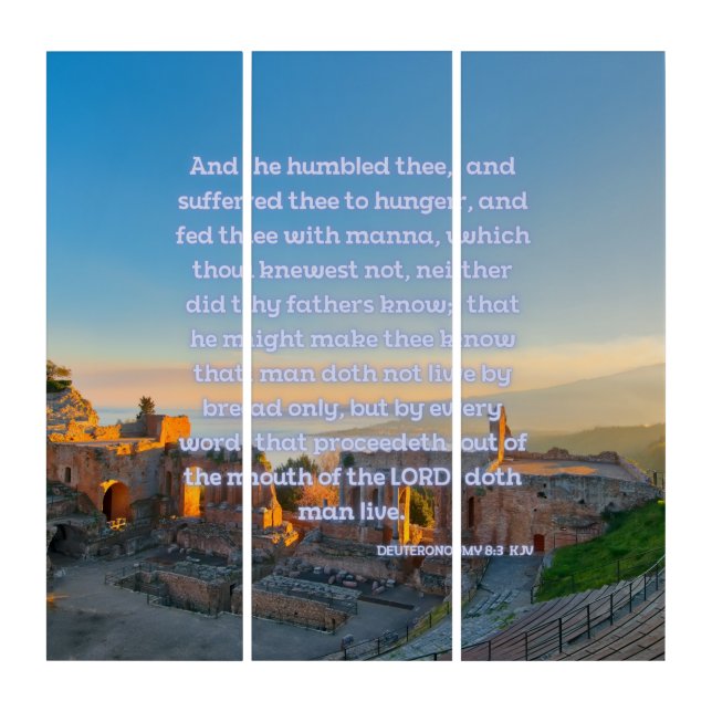 Deuteronomy 8:3 KJV Bible Verse Pic Wall Art (Front)