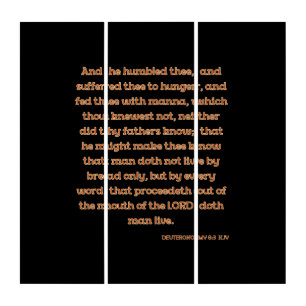 Deuteronomy 8:3 KJV Bible Verse Wall Art