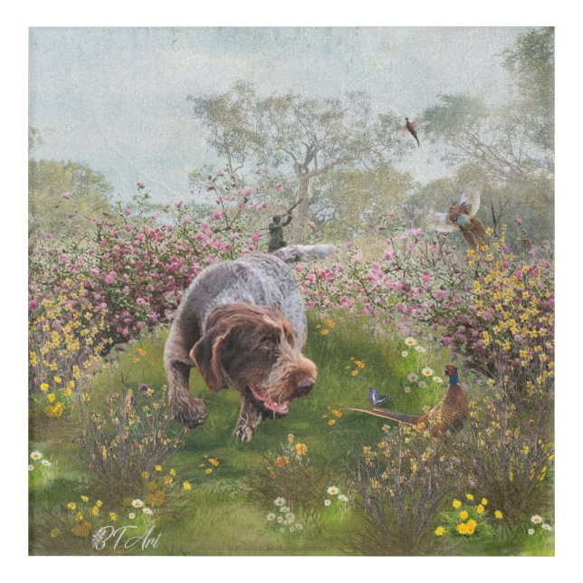 Deutsch Drahthaar   Acrylic Print (Front)