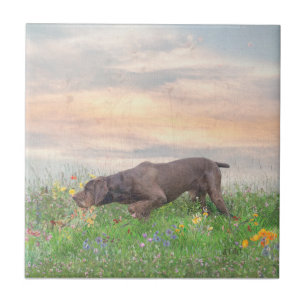 Deutsch Drahthaar     Ceramic Tile