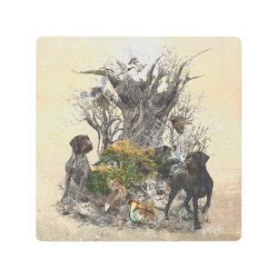 Deutsch Drahthaar Metal Print