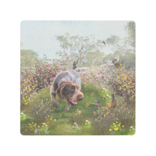Deutsch Drahthaar Metal Print