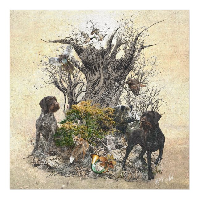 Deutsch Drahthaar     Photo Print (Front)