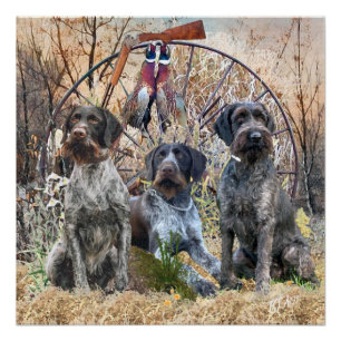 Deutsch Drahthaar   Poster