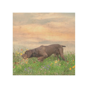 Deutsch Drahthaar Wood Wall Art