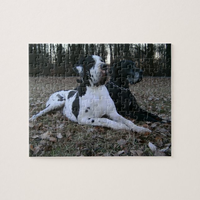 Deutsche Dogge, Great Dane, Dogs, Dogue Allemand Jigsaw Puzzle (Horizontal)
