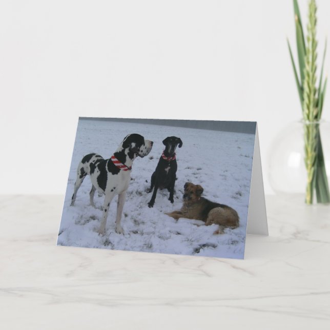 Deutsche Dogge, Great Dane, Hunde, Weihnachten Holiday Card (Front)