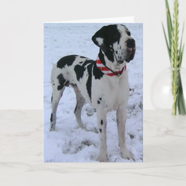 Deutsche Dogge,Weihnachten,Neujahr,lustigesGedicht Holiday Card (Front)