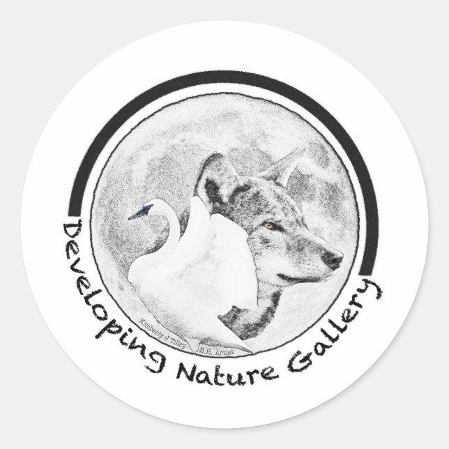 Developing Nature Gallery Logo Classic Round Sticker (Front)