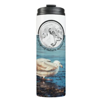 Developing Nature Gallery Logo & Seagull Thermal Tumbler by DevelopingNature at Zazzle