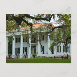 D'Evereux Antebellum Home - Natchez, MS Postcard