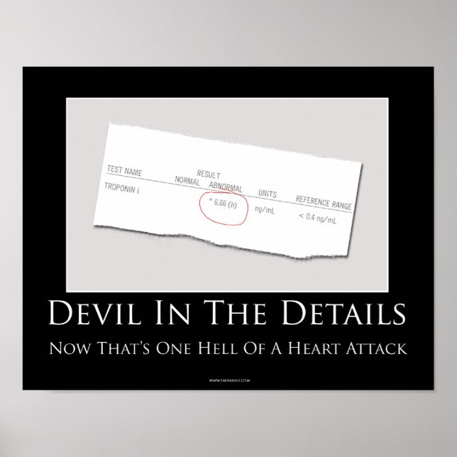Devil In The Details Motivational Poster (Front)