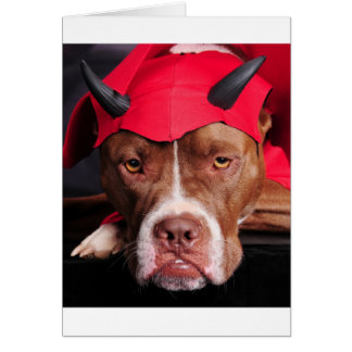Devil Pit Cards