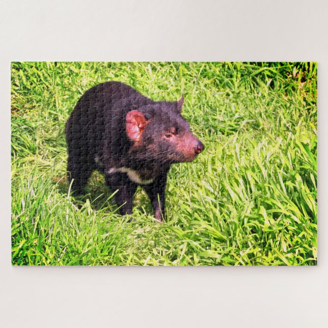 devil tassie jigsaw puzzle (Horizontal)
