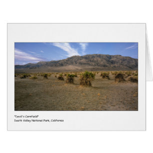 "Devils Cornfield" Cards