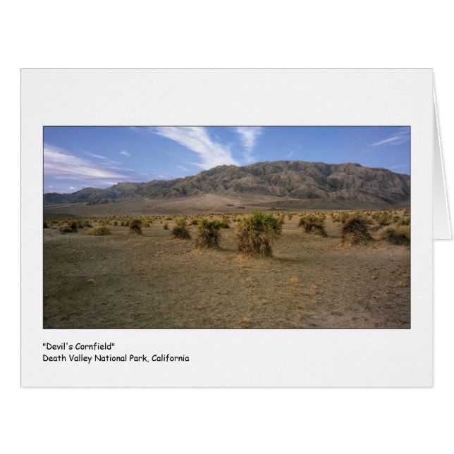 "Devils Cornfield" Cards (Front Horizontal)
