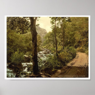 Devils Glen, Ashford, County Wicklow Ireland Poster