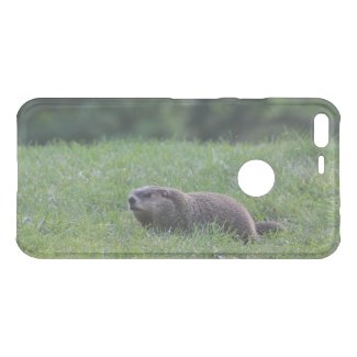 Devil's Hole Digger Google Phone Cases