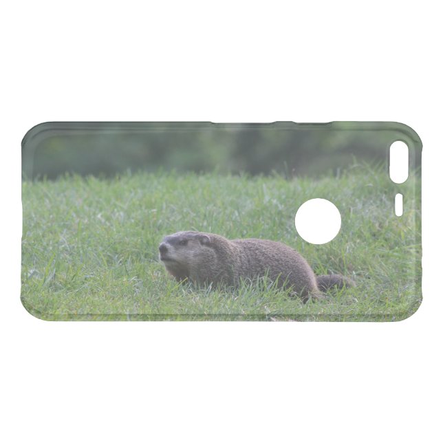 Devil's Hole Digger Google Phone Cases (Back (Horizontal))