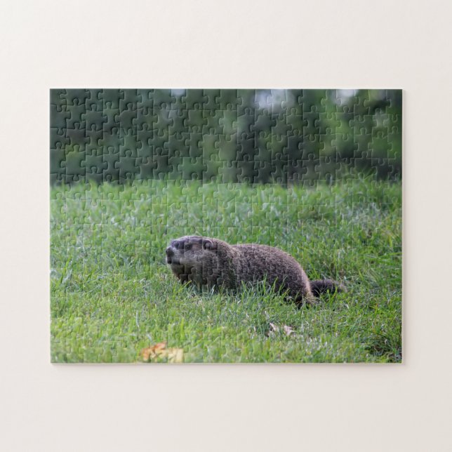 Devil's Hole Digger Jigsaw Puzzle (Horizontal)